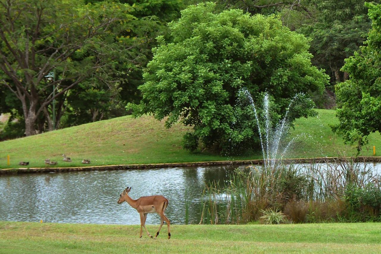 Kruger Park Lodge Unit No. 608B Хейзивью Экстерьер фото